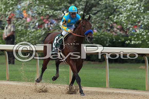 Arkansas Derby Day 4-11-2015 (©Justin Manning) JWM_2590