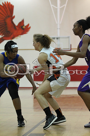 Tri-Lakes All Star Baketball Game 3-17-2015 (©Justin Manning) JWM_0107