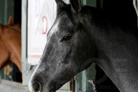 Oaklawn 1-13-13 (Justin Manning)0006