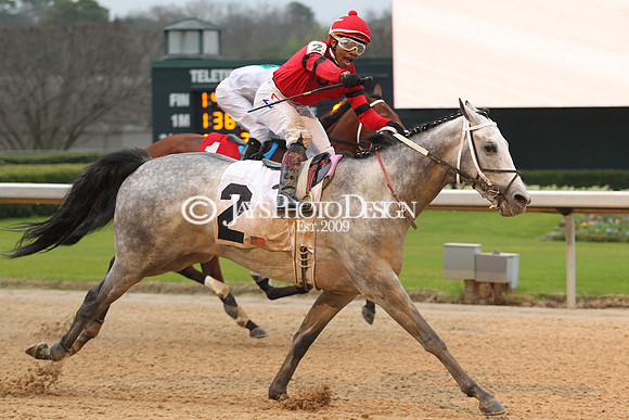 z200217_SouthwestStakesDay_Manning_4107