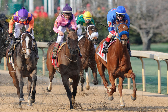 Honeybee Stakes (Grade III) 3-8-2014 (© Justin Manning) JWM_1402