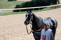 Oaklawn Park 3-3-13 JWM0016 (© Angela Greb)