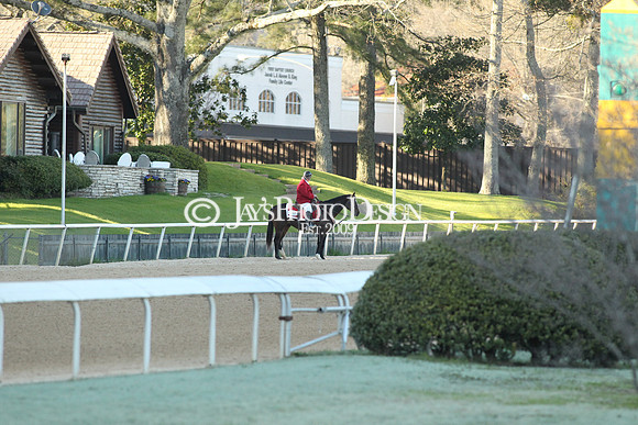 z190316_EssexStakes_Manning_0206