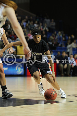 Pulaski Academy vs. Hot Springs 5A Girls State Finals 3-14-2015 (©Justin Manning) JWM_669