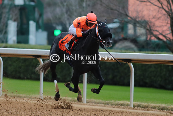 z250104_MockingbirdStakes _JWM_0587