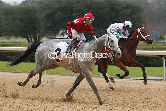 z200217_SouthwestStakesDay_Manning_4103