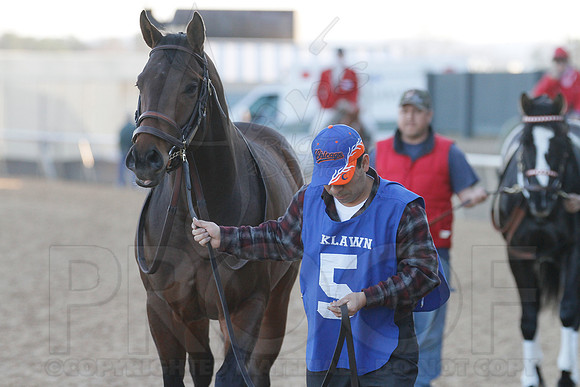 Oaklawn 1-21-13 (Smarty Jones Stakes) (Justin Manning)0073