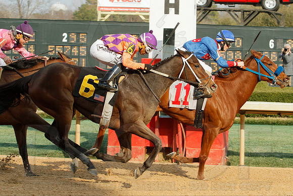 Honeybee Stakes (Grade III) 3-8-2014 (© Justin Manning) JWM_0300