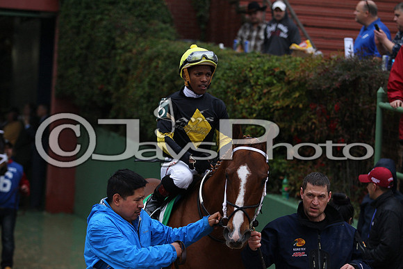 Oaklawn (Rebel Stakes Day) 3-14-2015 (©Justin Manning) JWM_192