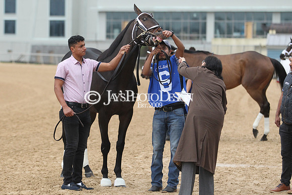 z200217_SouthwestStakesDay_Manning_1869