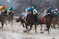 50th Running Southwest Stakes (Grade III) 2-22-2015 (©Justin Manning) JWM_124
