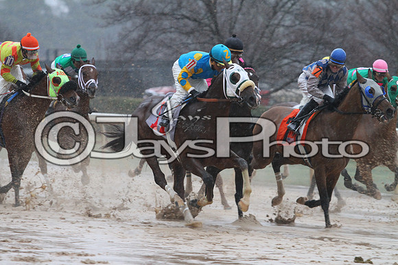 50th Running Southwest Stakes (Grade III) 2-22-2015 (©Justin Manning) JWM_124