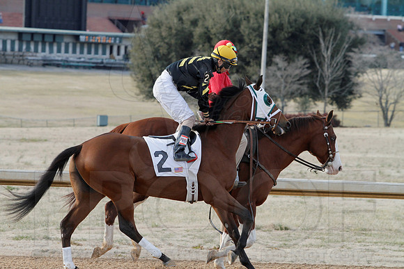 Oaklawn Park (Scenery) 1-26-14 (©Justin Manning) JWM_0123