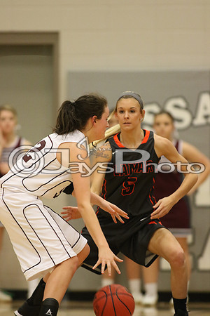 Lamar vs. Perryville Girls 3A State 3-6-2015 (©Justin Manning) JWM_035