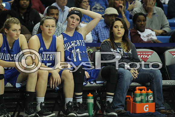 2A Girls State Finals Earle vs. Hector 3-10-16_JWM_0012