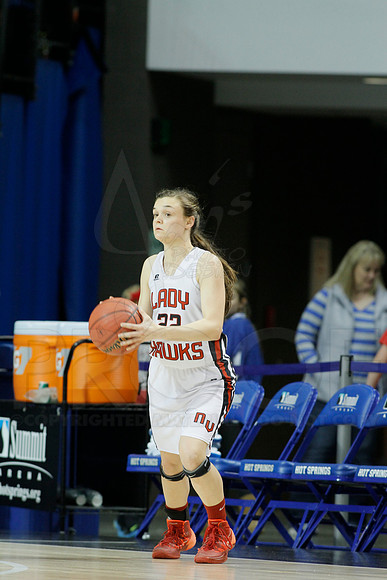 1A Girls State Finals-Nemo Vista vs. Wonderview 3-14-2014 (© Justin Manning) JWM_0182