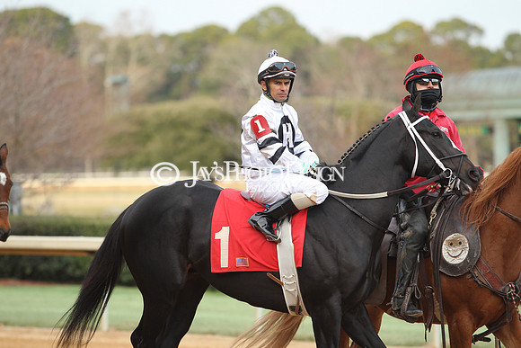 z190125_SmartyJonesStakesDay_Manning_0214
