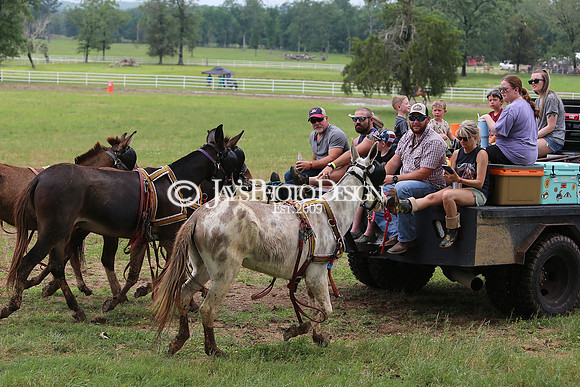 Whiskey Ridge Ranch (Chuckwagon Races) 5-25-24_JWM_0866