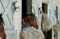 Oaklawn Park (Scenery) 1-26-14 (©Justin Manning) JWM_0063