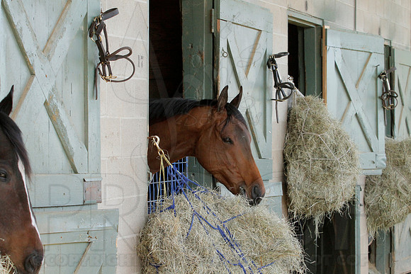 Oaklawn Park (Scenery) 1-26-14 (©Justin Manning) JWM_0063