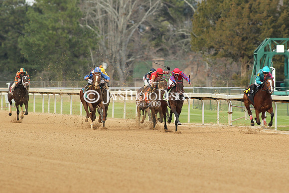z190125_SmartyJonesStakesDay_Manning_0059