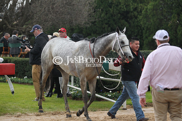 z200217_SouthwestStakesDay_Manning_4304