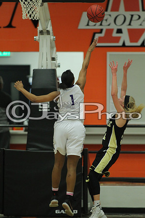 4A State Riverview vs. Pottsville 3-3-16_JWM_0051