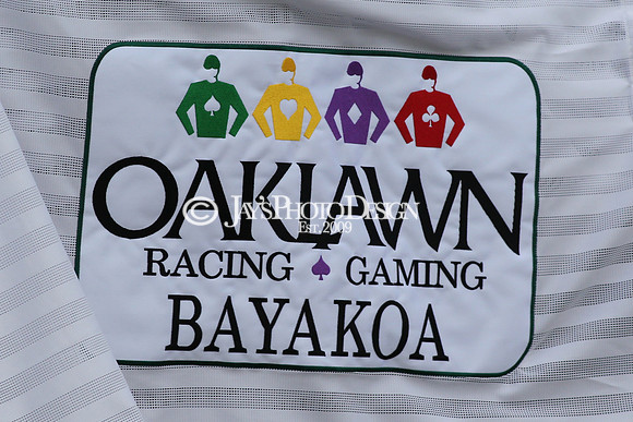 z190218_SouthwestStakesDay_Manning_468
