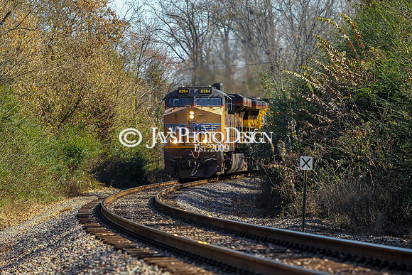 JWM_0351