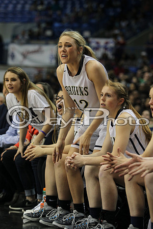 Pulaski Academy vs. Hot Springs 5A Girls State Finals 3-14-2015 (©Justin Manning) JWM_184