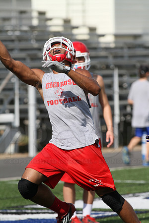 1st Annual James King 7 on 7 (Malvern) (� Justin Manning) JWM0079