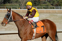 Oaklawn Park (Scenery) 1-26-14 (©Justin Manning) JWM_0044