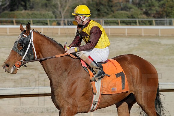 Oaklawn Park (Scenery) 1-26-14 (©Justin Manning) JWM_0044