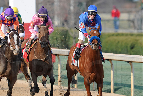 Honeybee Stakes (Grade III) 3-8-2014 (© Justin Manning) JWM_1415