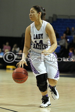 Riverview vs. Ozark 4A Girls State Finals 3-13-2015 (©Justin Manning) JWM_182