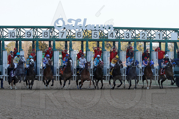 Smarty Jones Stakes 01-20-14 (©Justin Manning) JWM_0388