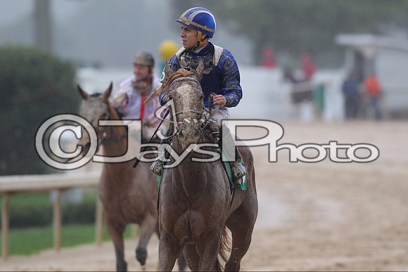 Oaklawn (Rebel Stakes Day) 3-14-2015 (©Justin Manning) JWM_067