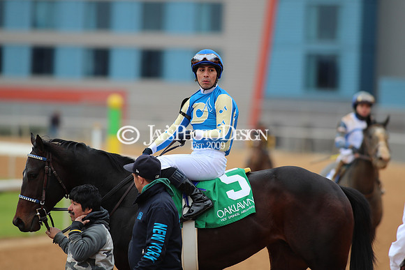z250104_SmartyJonesStakesDay _JWM_0250