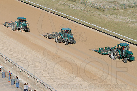 Smarty Jones Stakes 01-20-14 (©Justin Manning) JWM_0002