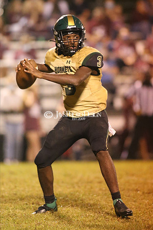 Mineral Springs @ Mount Ida 9-25-20_JWM_0044