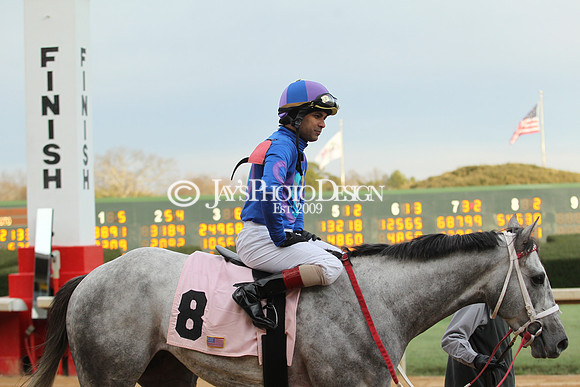 z190125_SmartyJonesStakesDay_Manning_0412