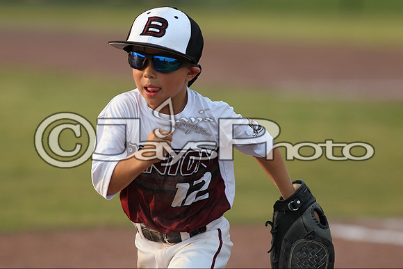 Benton vs. Hamburg 6 year old All Stars 6-29-2015 (©Justin Manning) JWM_0156