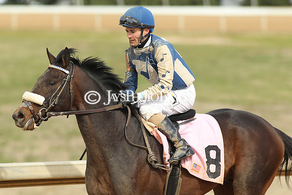 z190218_SouthwestStakesDay_Manning_056