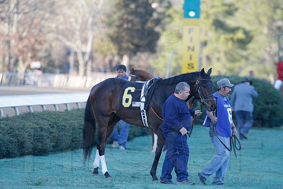 Oaklawn 1-21-13 (Smarty Jones Stakes) (Justin Manning)0121