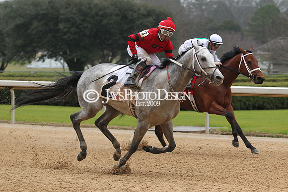 z200217_SouthwestStakesDay_Manning_4104