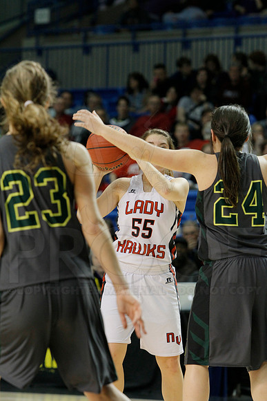 1A Girls State Finals-Nemo Vista vs. Wonderview 3-14-2014 (© Justin Manning) JWM_0081