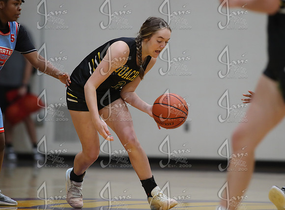 Evolution vs. Prolific Elite (AAU High School Girls Basketball) 4-26-25_JWM_0352