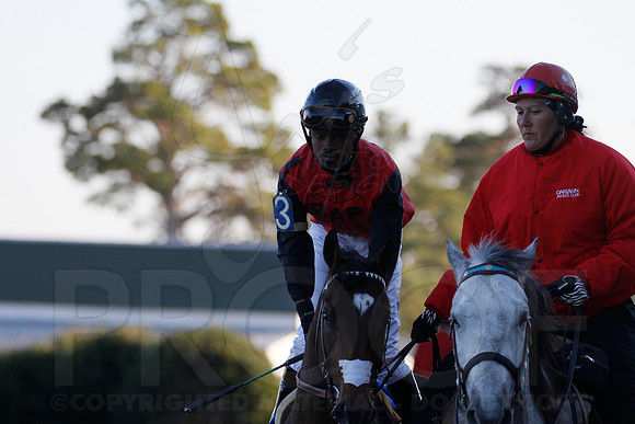 Oaklawn 1-21-13 (Smarty Jones Stakes) (Justin Manning)0185