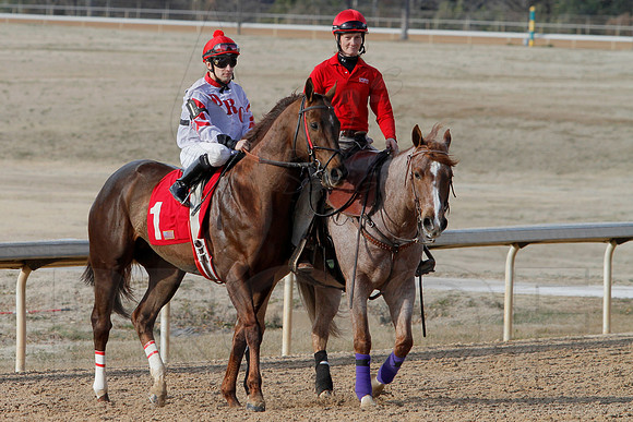Oaklawn Park (Scenery) 1-26-14 (©Justin Manning) JWM_0077