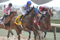 Oaklawn (Rebel Stakes Day) 3-14-2015 (©Justin Manning) JWM_018